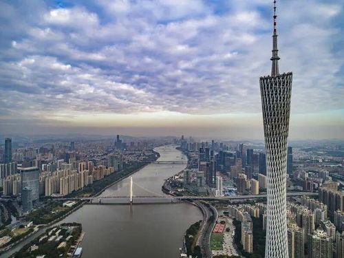 广州发布人工智能产业发展方案，力争五年引育万家AI企业，技术服务双轮驱动